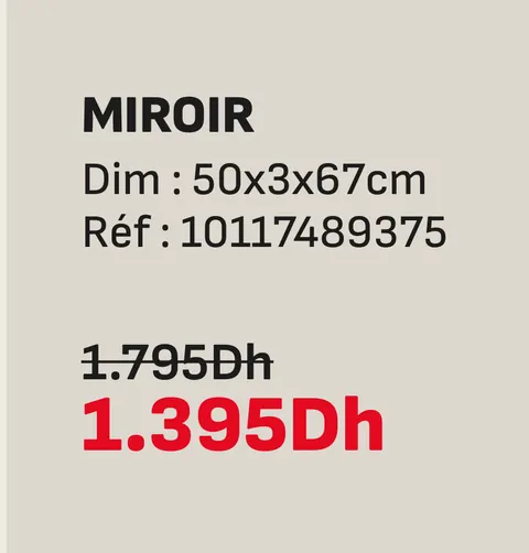 Miroir 50x3x67cm