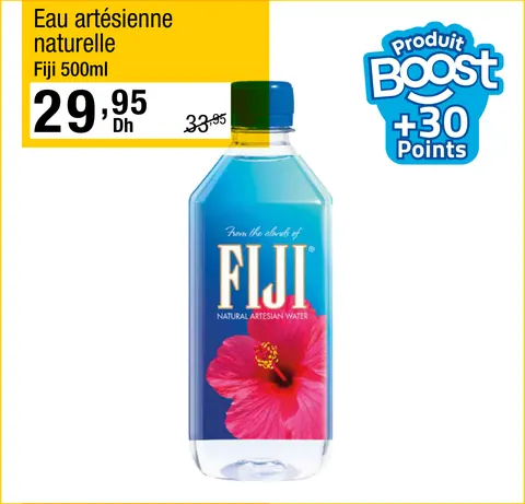 Eau artésienne naturelle Fiji 500ml