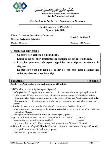 Première page : CORRIGE TSC Passage 2018 SYNTHESE 2